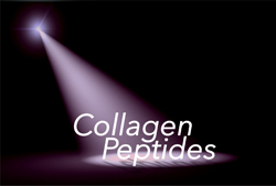 spotlight on collagen peptides at enh